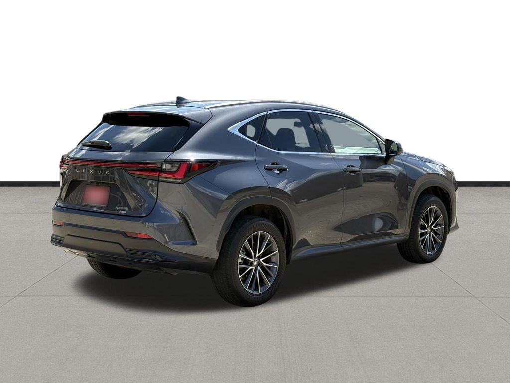 2022 Lexus NX 350 Premium Gray at North Houston Mitsubishi