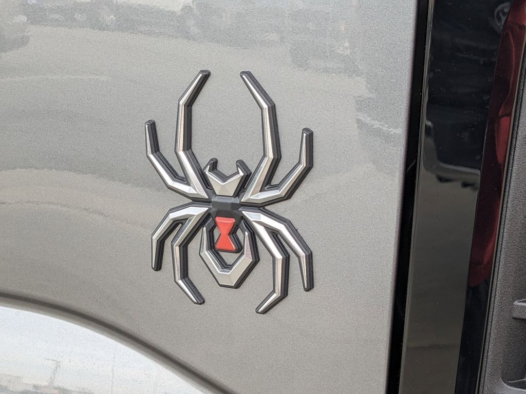 2024 Ford F-250 Super Duty Black Widow