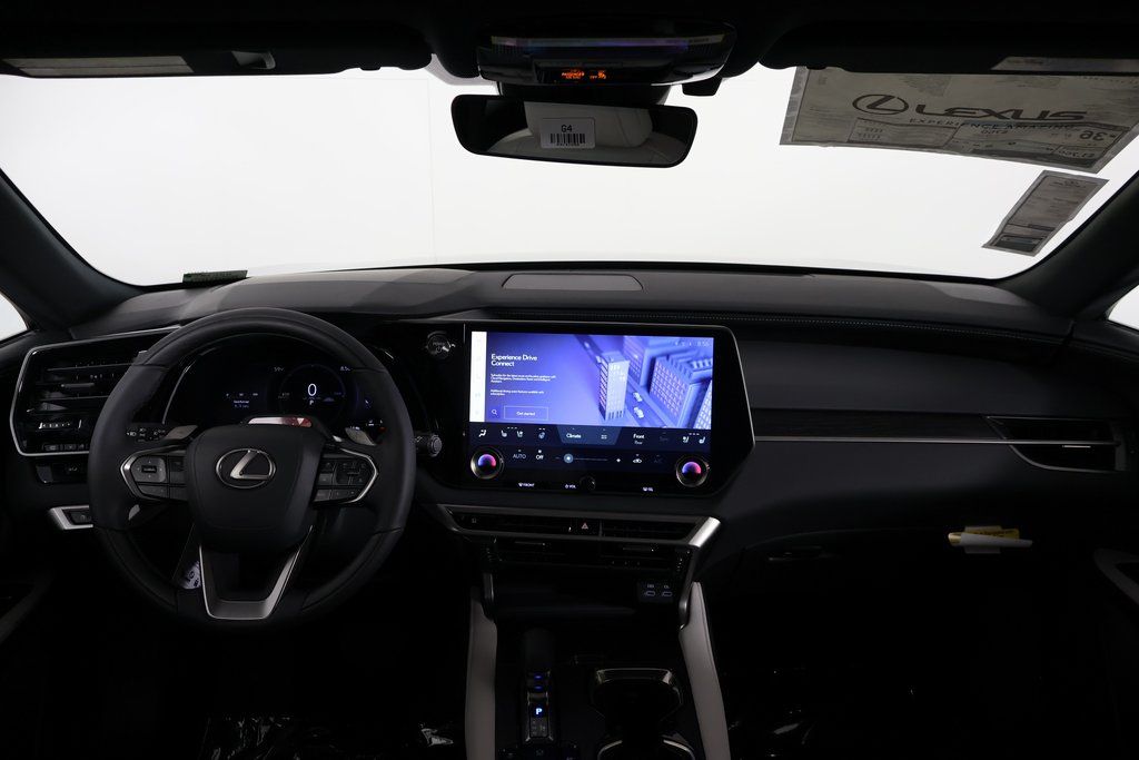 2025 Lexus RX  4