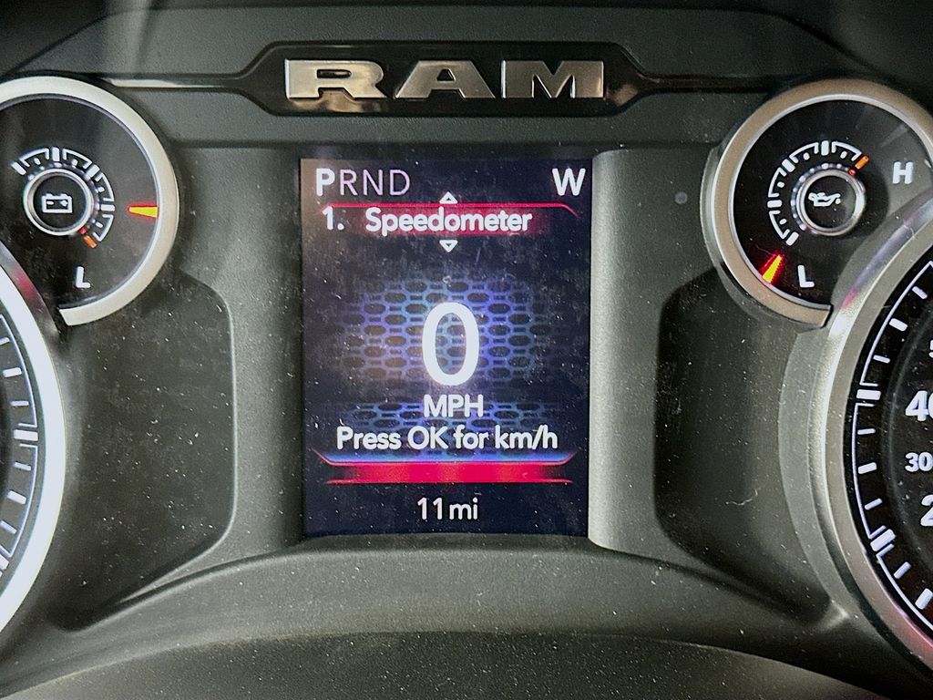 Ram250011