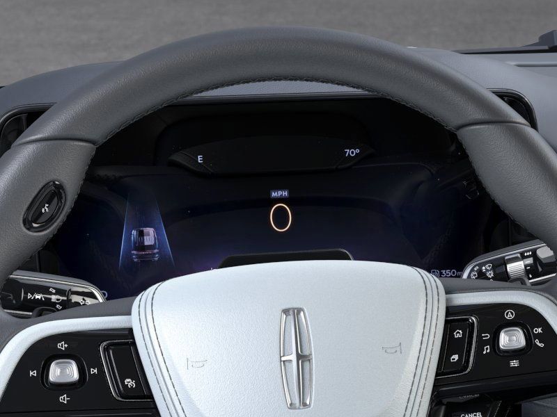 New 2026 White Lincoln Black Label image 13