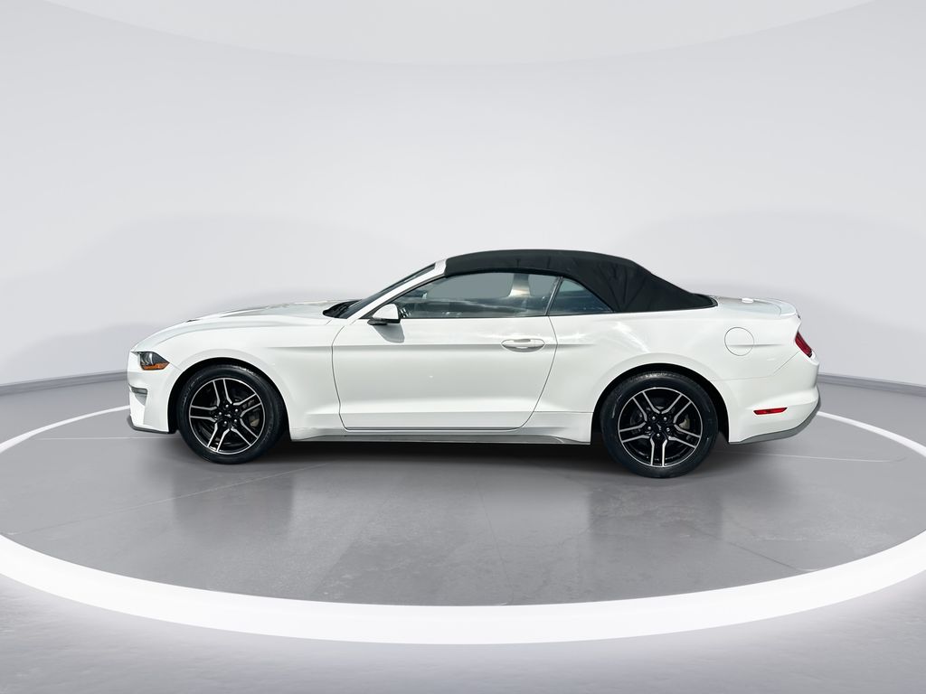 2019 Ford Mustang EcoBoost Premium - 4