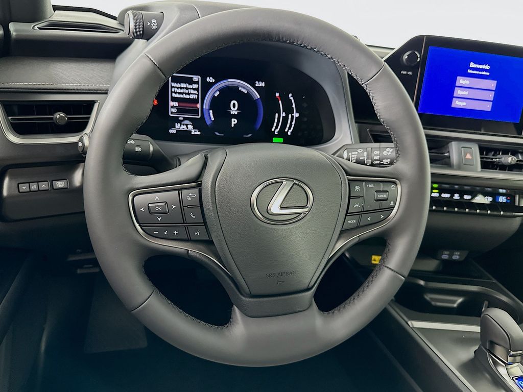 2025 Lexus UX 300h 9