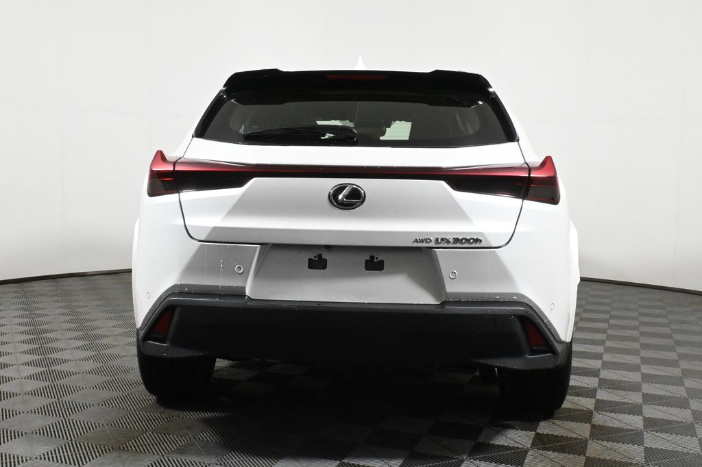 2025 Lexus UX 300h 6