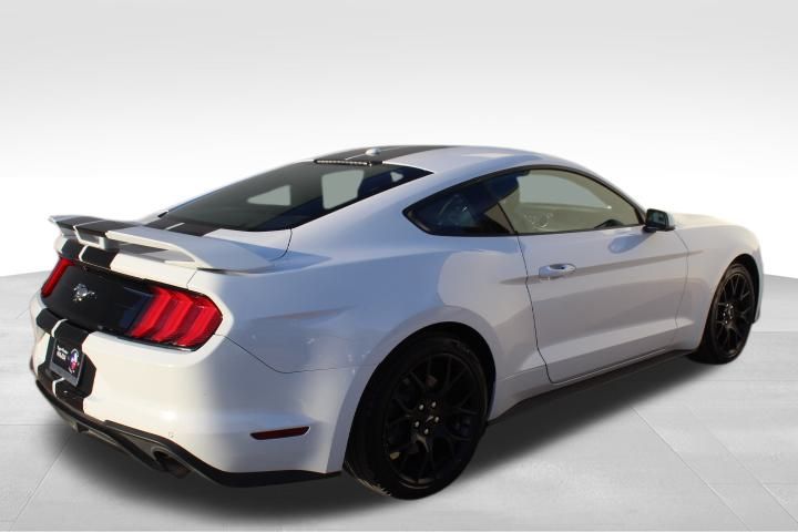 Used Car 2019 Ford Mustang  Ecoboost Premium For Sale Under $25,000 In Georgetown, Texas