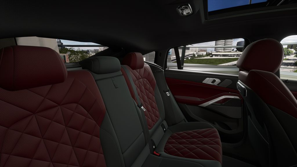 Thumbnail: 2026 BMW X6 - 12