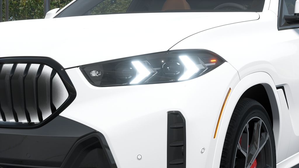 Thumbnail: 2027 BMW X6 - 30