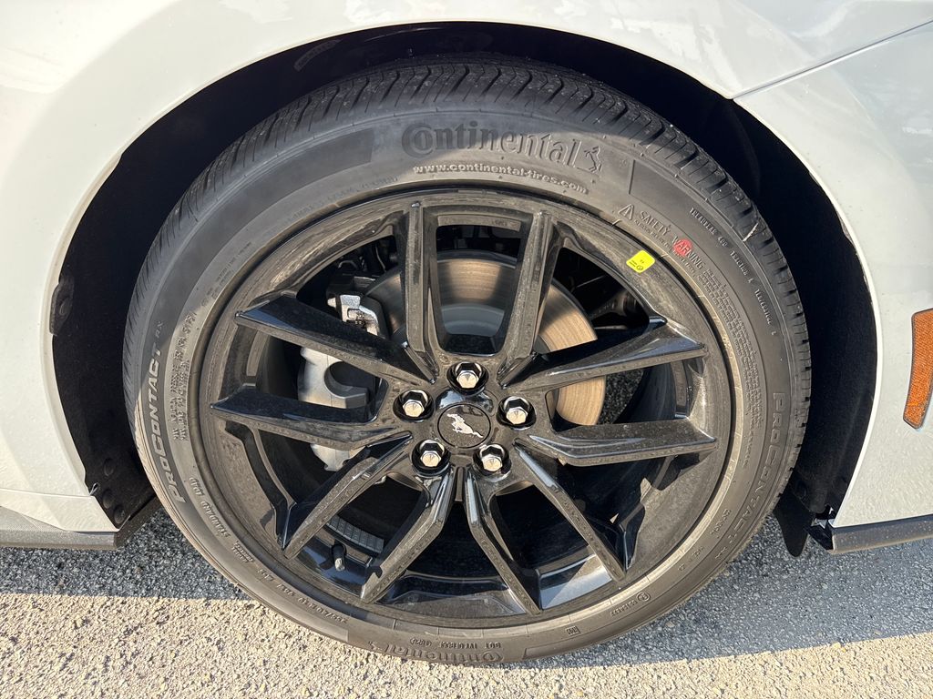 New 2026 White Ford EcoBoost Premium image 12