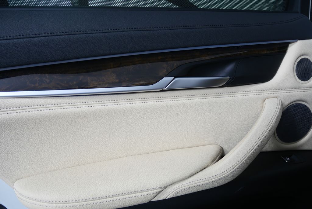Thumbnail: 2019 BMW X6 - 13