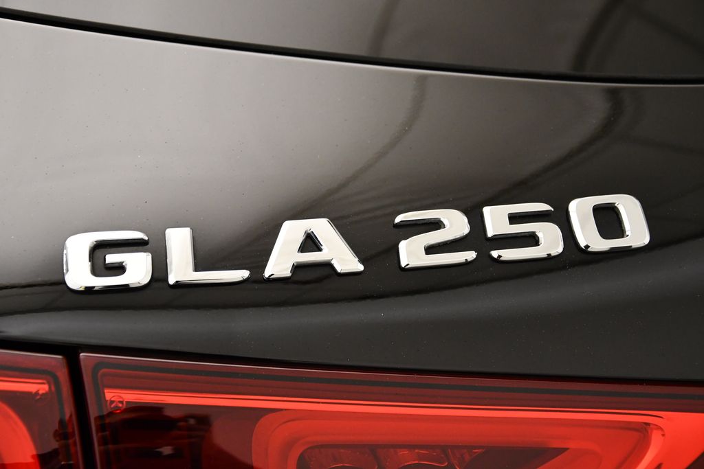 2021 Mercedes-Benz GLA 250 4MATIC 9