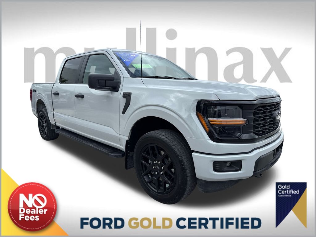 2024 Ford F-150 STX's photo