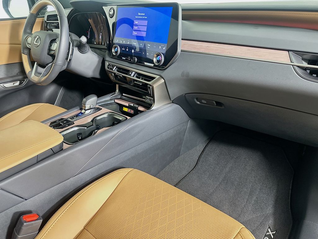 2024 Lexus RX 350 Premium+ 30