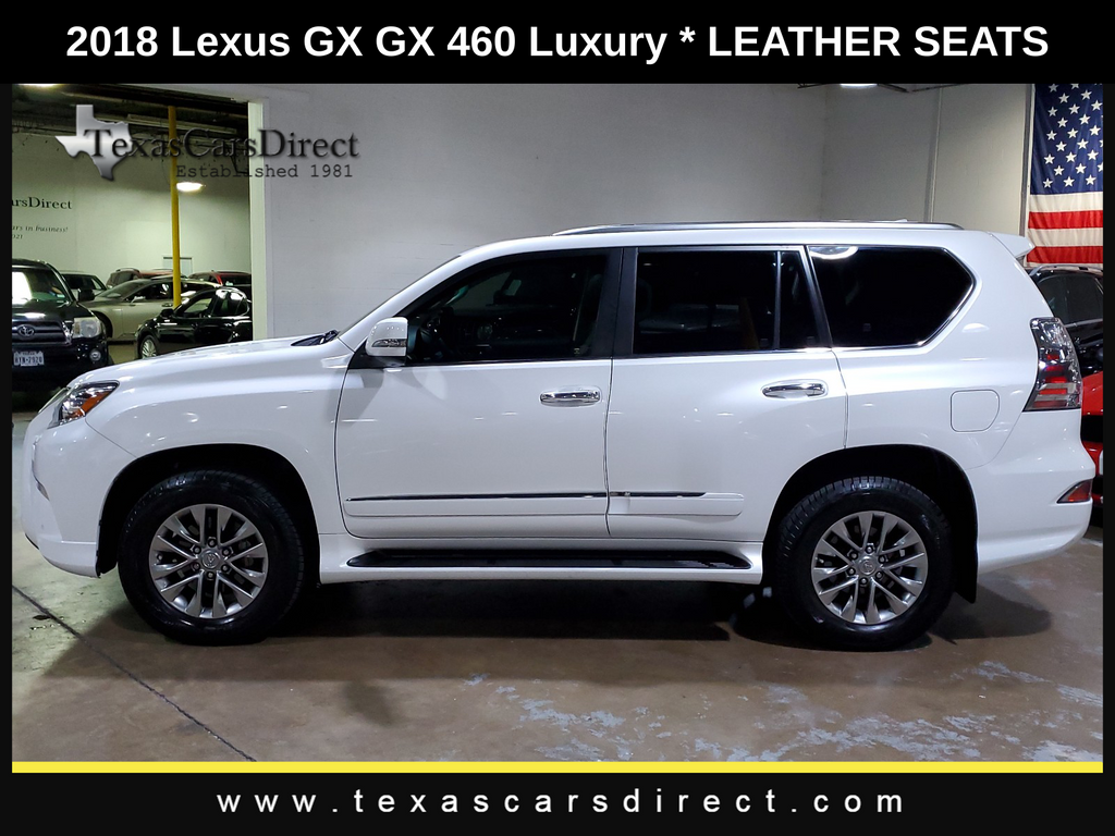 2018 Lexus GX 460 Luxury 13