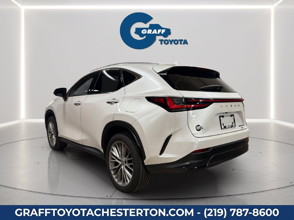 Used 2024 Lexus NX SUV