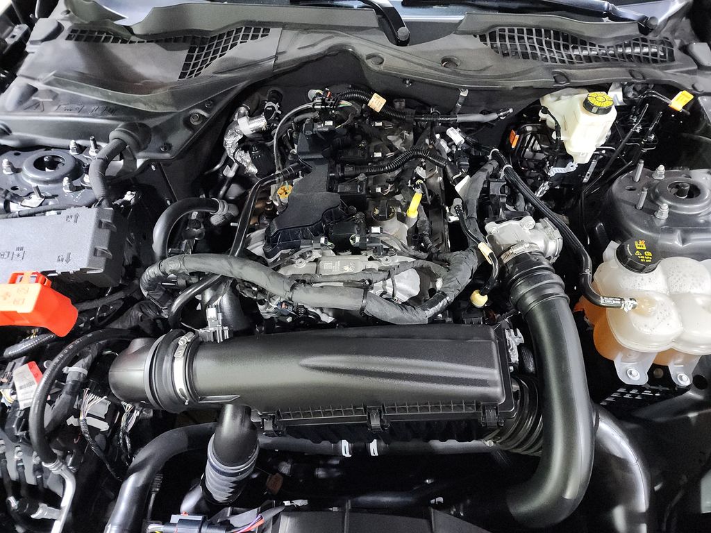 2024 Ford Mustang EcoBoost photo