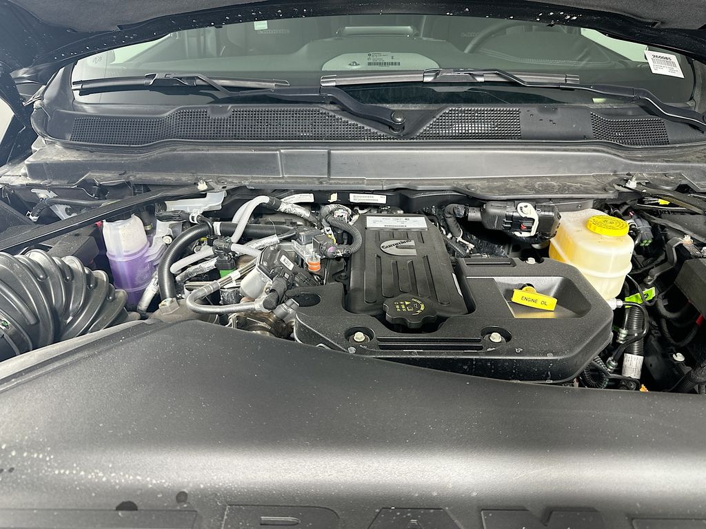 New 2026 Black Ram Laramie 14in image 18