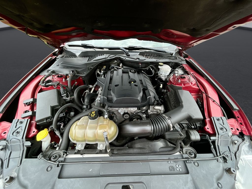 Thumbnail: 2019 Ford Mustang - 30