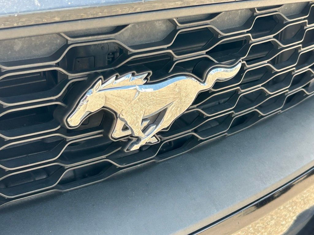 Used 2018 Shadow Black Ford EcoBoost image 35