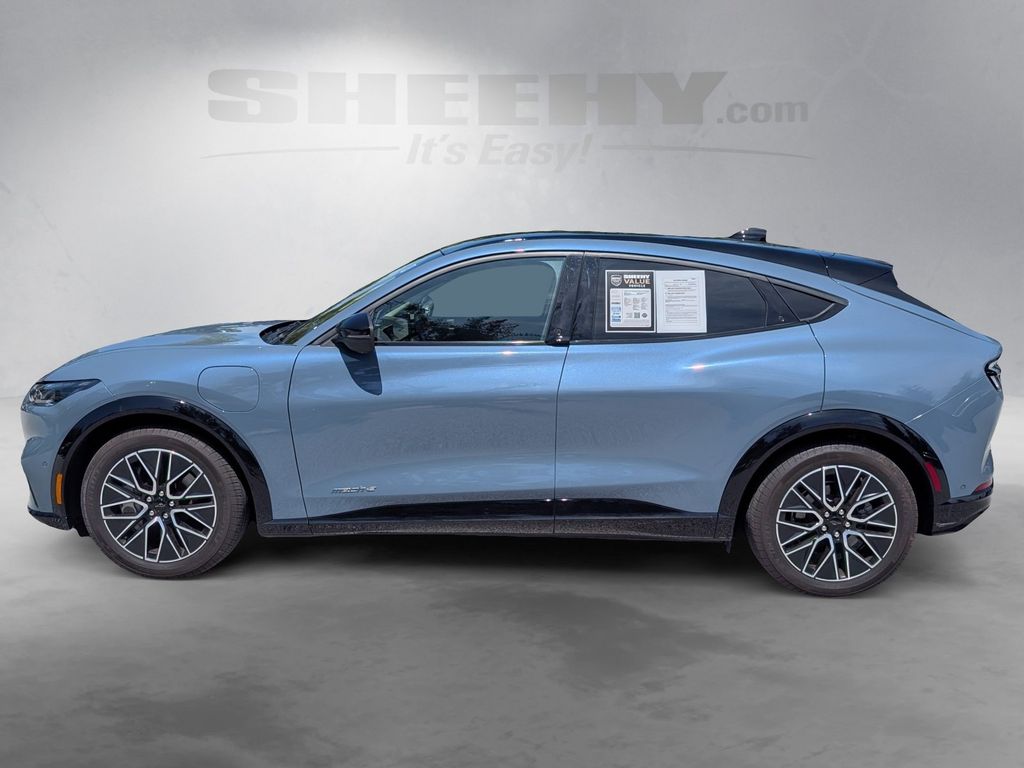 Used 2024 Blue Ford Premium image 14