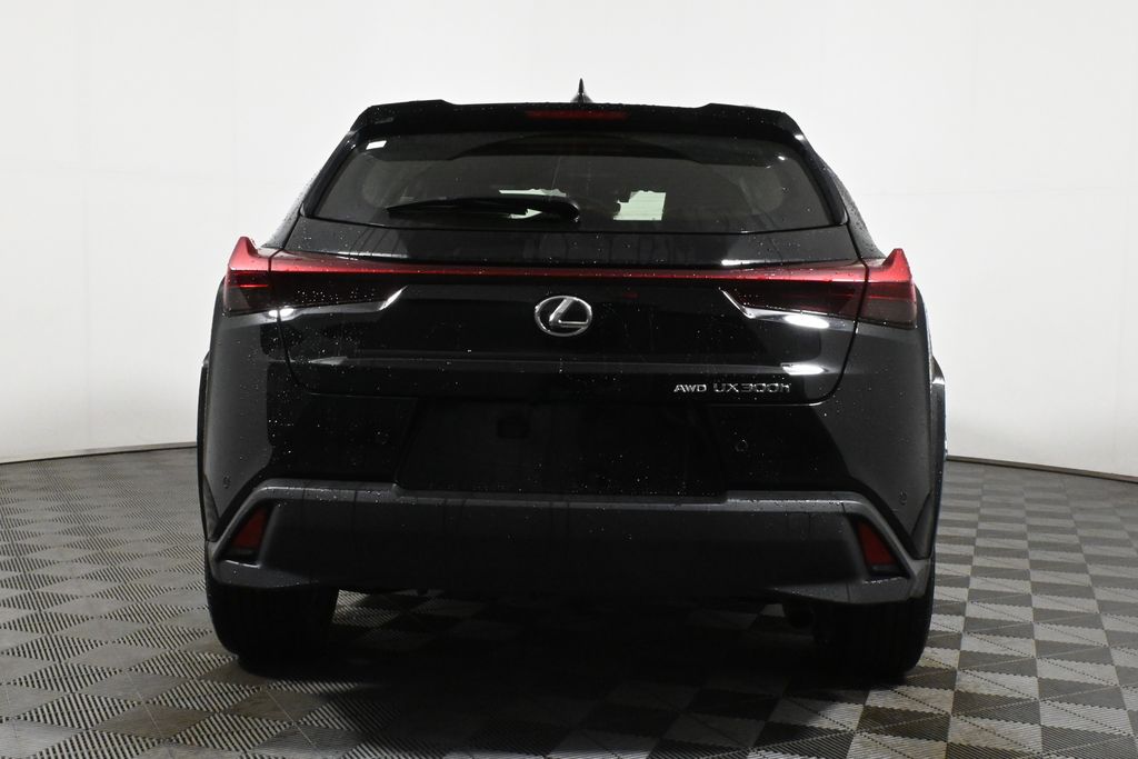 2025 Lexus UX 300h 6