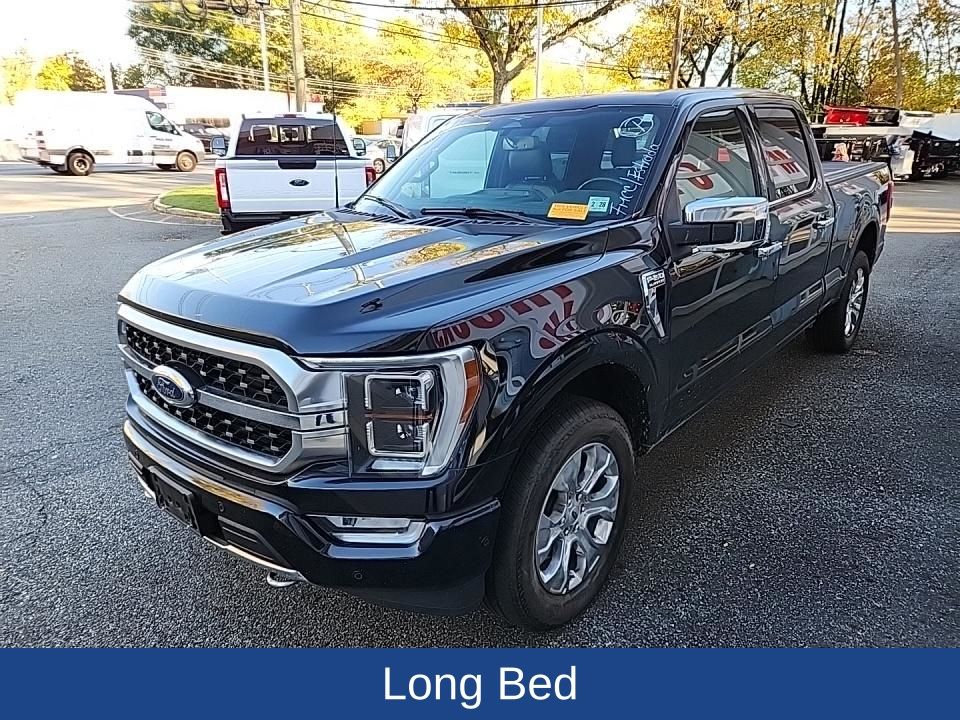 2023 Ford F-150 Platinum