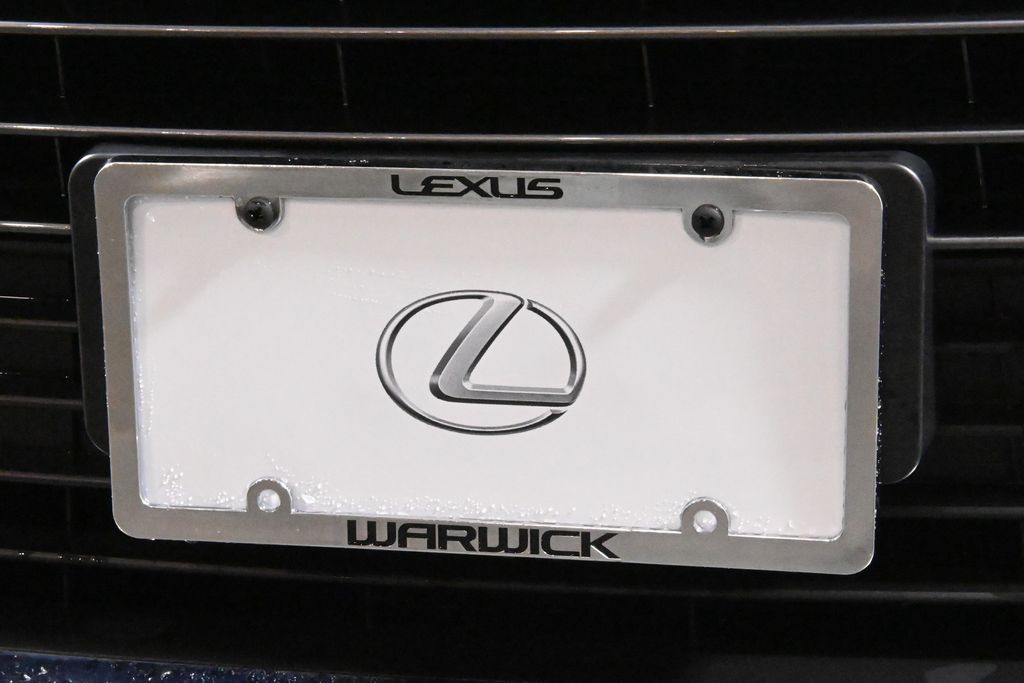 2019 Lexus RX 350 14