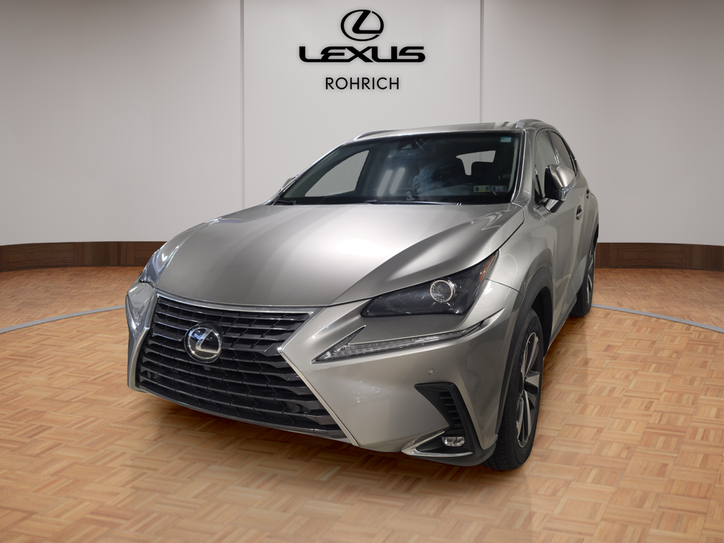 2018 Lexus NX 300's photo