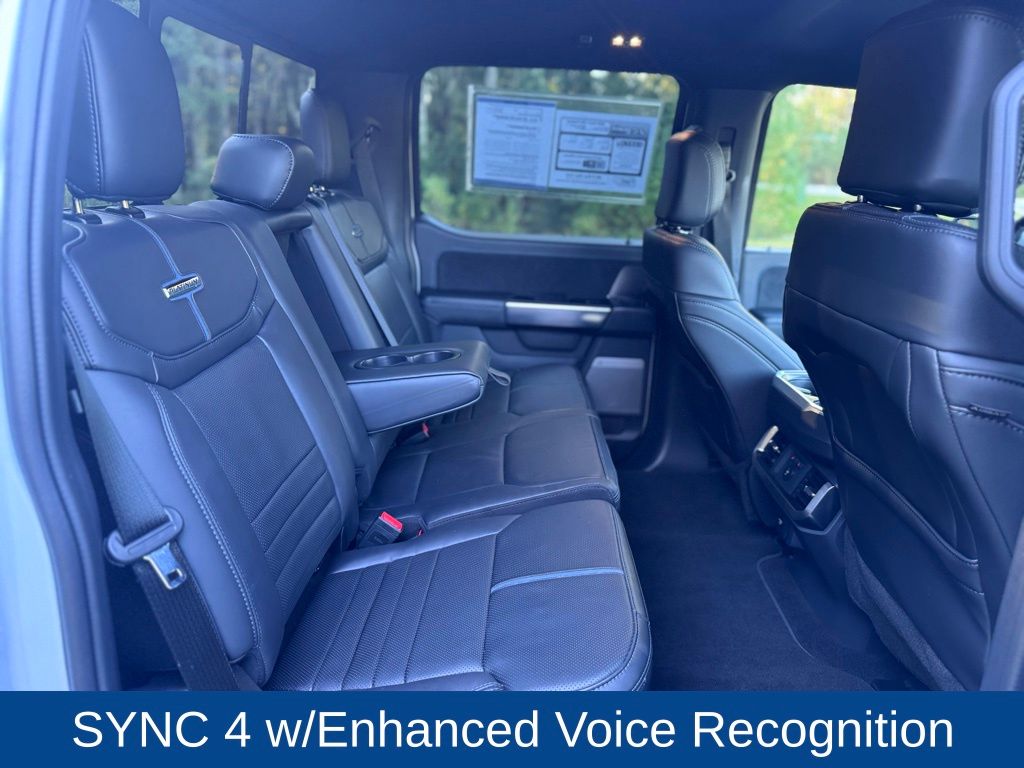 2025 Ford F-150 Platinum