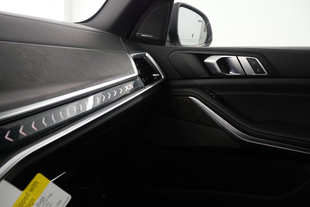 Thumbnail: 2025 BMW X5 - 27