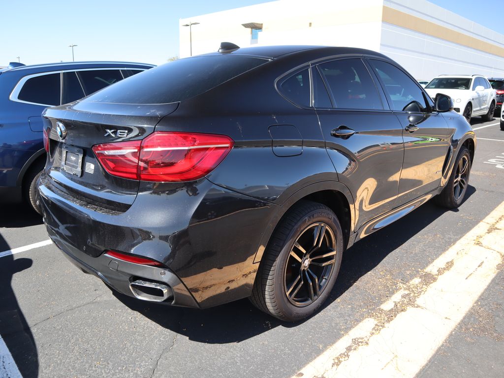 2019 BMW X6 xDrive35i 3