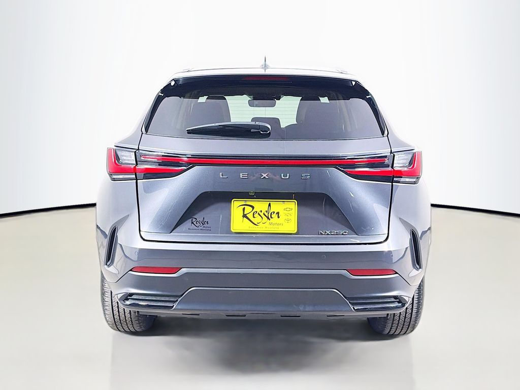 Used 2025 Lexus NX SUV
