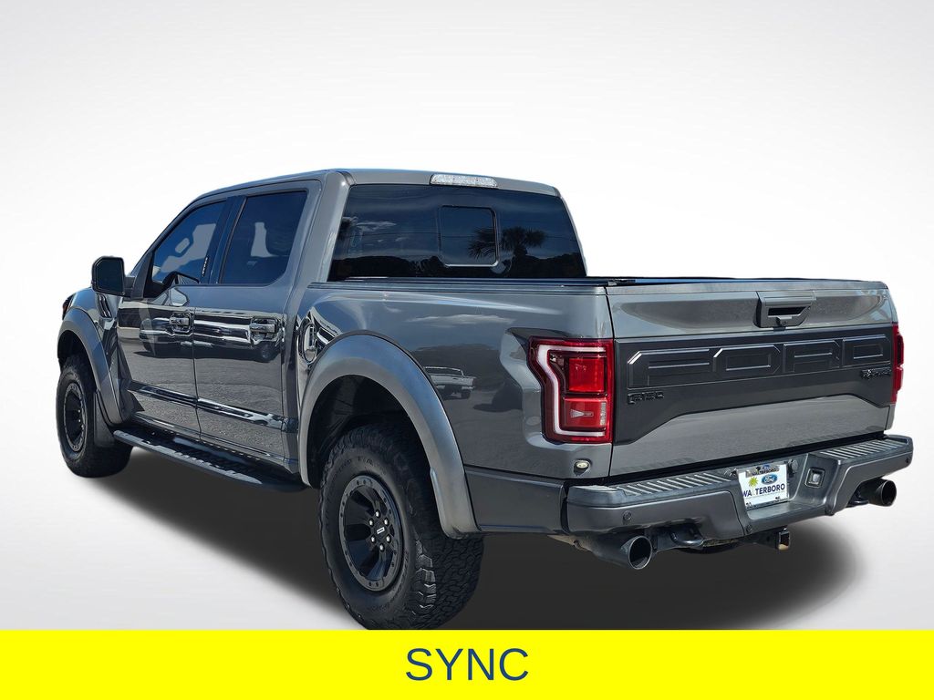2018 Ford F-150 Raptor Gray at Walterboro Ford