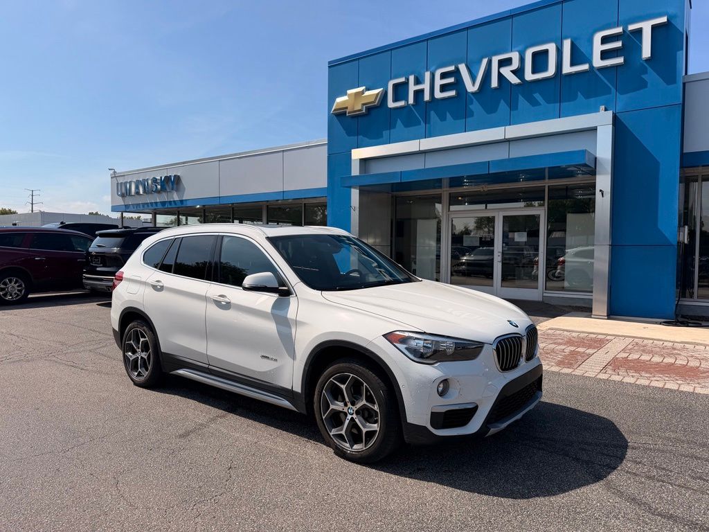 2017 BMW X1 xDrive28i's photo