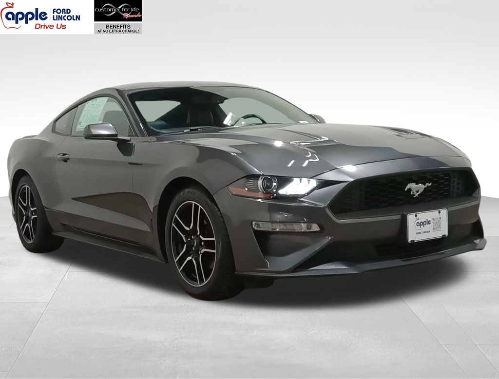 2019 Ford Mustang