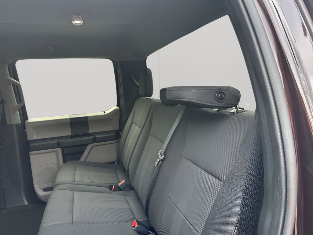 Used Car 2019 Ford F-150  Xl For Sale Under $30,000 In Austin, Texas
