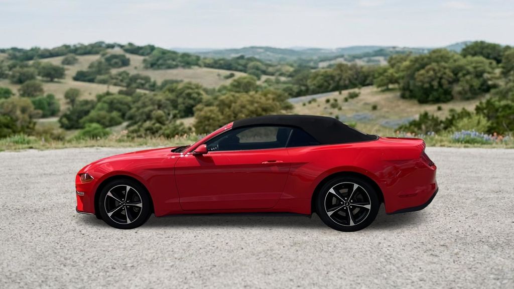 Used Car 2020 Ford Mustang  Ecoboost For Sale Under $25,000 In Austin, Texas