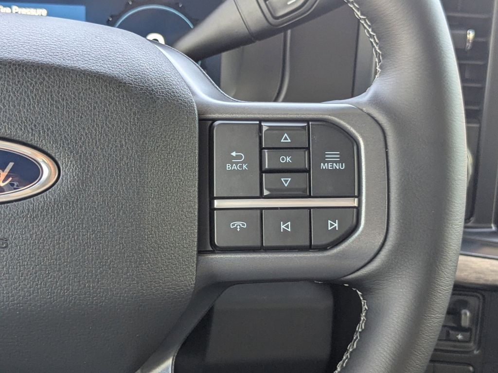 2025 Ford F-250 Super Duty Black Widow
