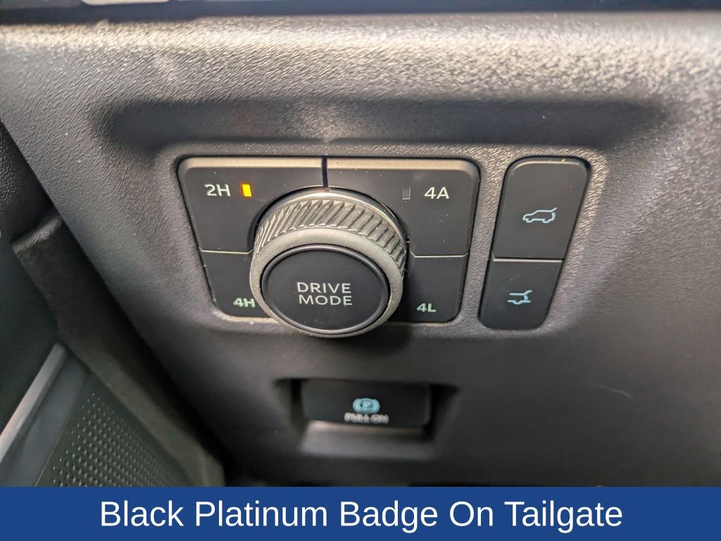 2025 Ford Expedition Platinum MAX