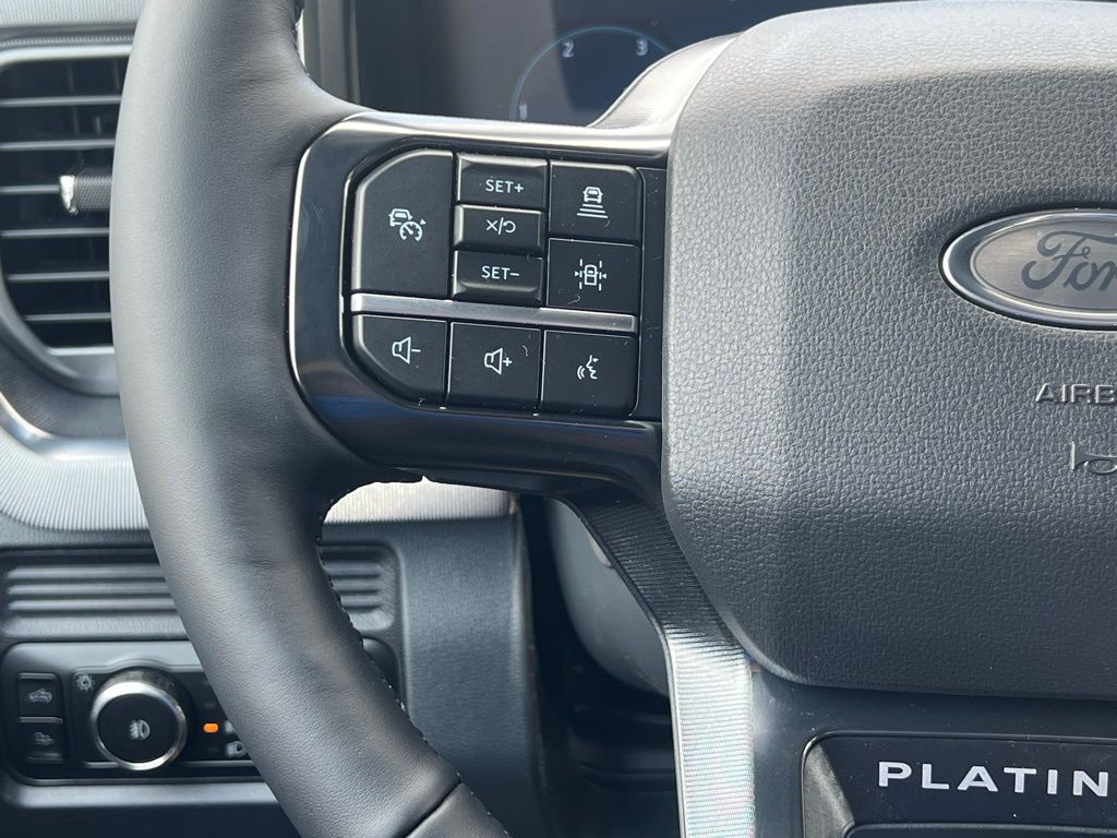 2025 Ford F-250SD Platinum Gray at Walterboro Ford