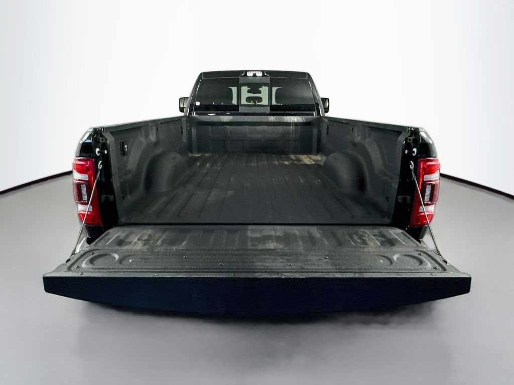 Ram350028