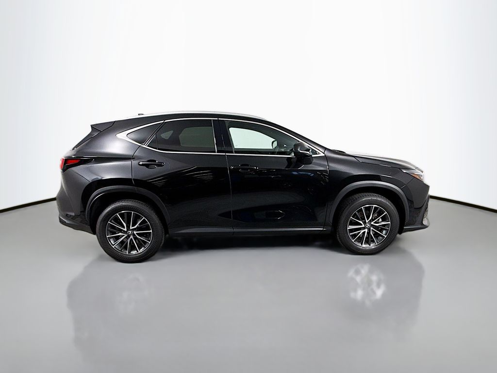 2025 Lexus NX 250 4