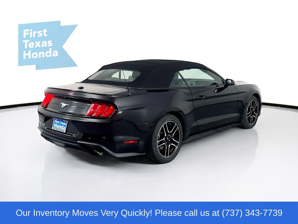 Used Car 2023 Ford Mustang  Ecoboost Premium For Sale Under $20,000 In Austin, Texas