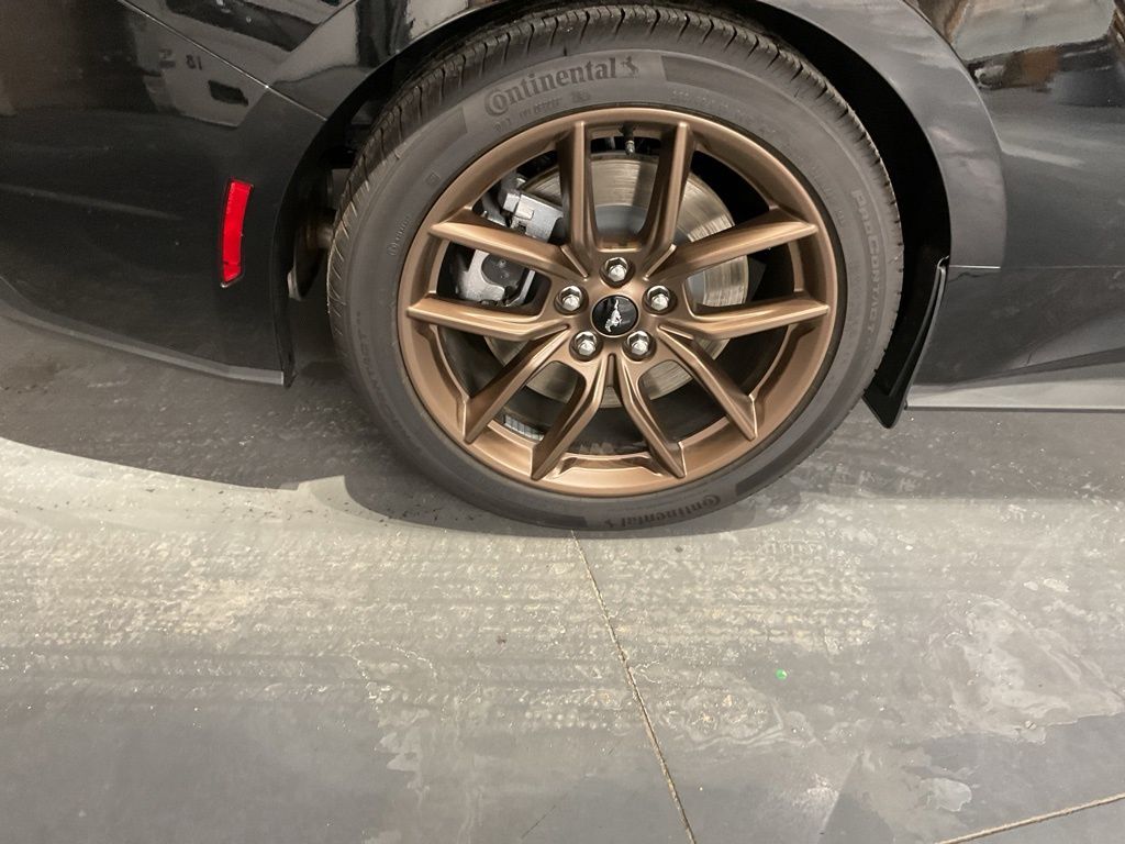 New 2025 Black Ford GT Premium image 16