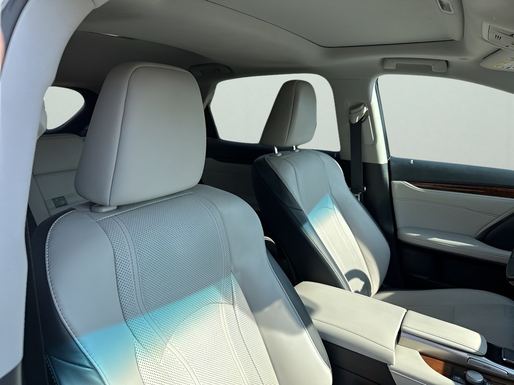 Used Car 2018 Lexus Rx  350 F Sport For Sale Under $25,000 In Austin, Texas