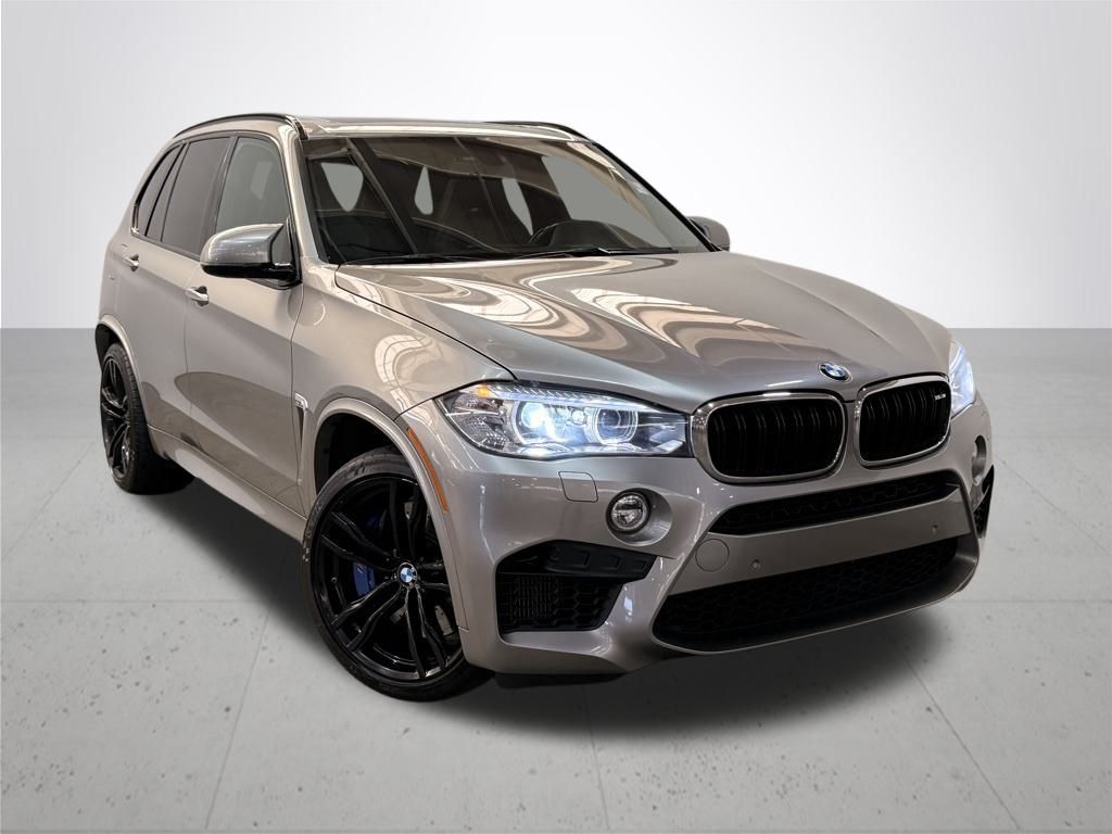 2017 Bmw X5 M photo 4