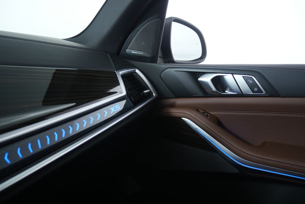 Thumbnail: 2025 BMW X5 - 25