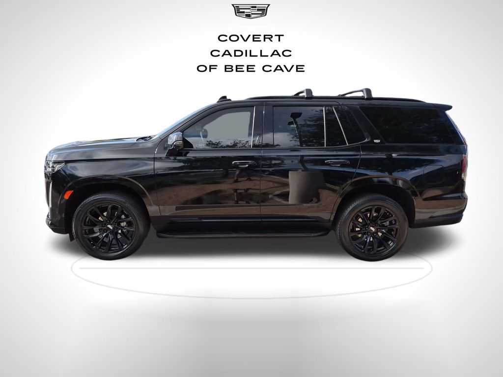 Used Car 2024 Cadillac Escalade  Sport For Sale Under $80,000 In Austin, Texas