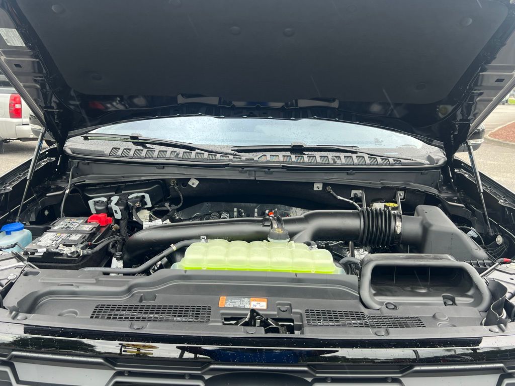 2025 Ford Expedition Active Black at Walterboro Ford