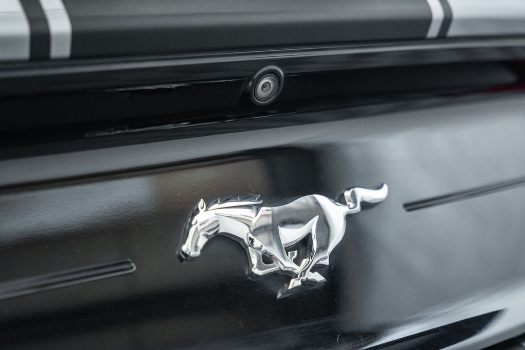 FordMustang11