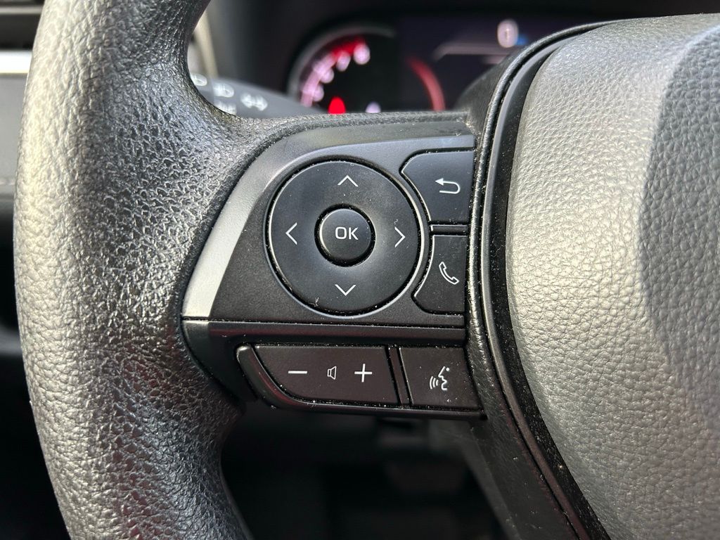 2024 Toyota RAV4 LE 19
